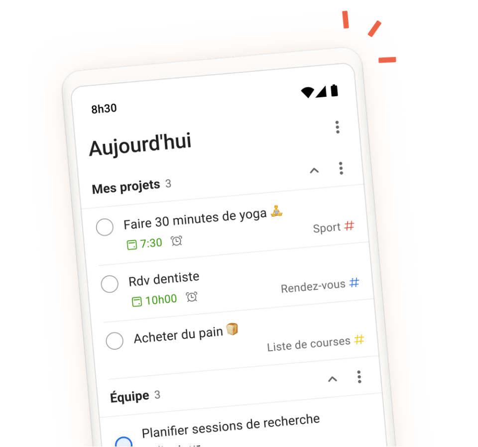 Interface Todoist avec tâches et projets en français